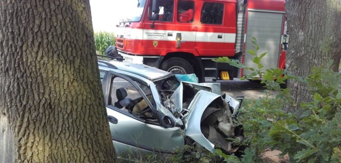 Na Kutnohorsku narazilo auto do stromu, řidič nepřežil. ZDROJ: HSZ SČK