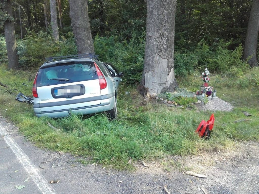 Na Kutnohorsku narazilo auto do stromu, řidič nepřežil. ZDROJ: HSZ SČK