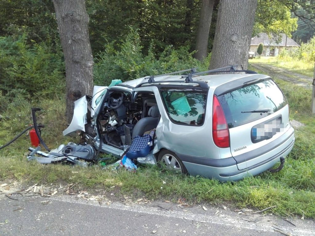 Na Kutnohorsku narazilo auto do stromu, řidič nepřežil. ZDROJ: HSZ SČK